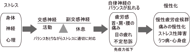 ストレスの段階